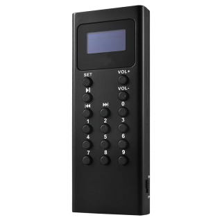 Muzey koʻrgazmasi uchun audio qoʻllanma tizimi Turizm Manzarali joy sayyohlik agentligi Audio qoʻllanma MP3 pleer toʻplami 16GB qurilma 43 ta til