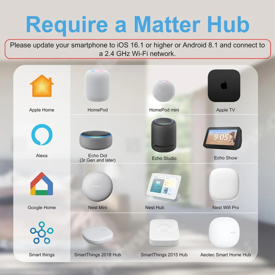 Matter Smart Plug AU Умная розетка Домашняя розетка Приложение Дистанционное управление 2,4G Wi-Fi Поддержка только Apple HomeKit Alexa Google Home