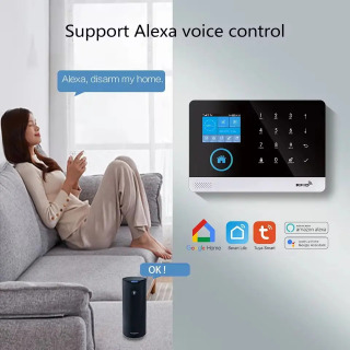 GSM Wi-Fi xavfsizlik signali Alexa Tuya Smart Life uy avtomatlashtirilgan eshik sensori yongʻin tutun signalizatsiyasi xavfsizlik tizimi toʻplami