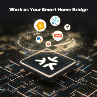 TONGOU Matter Gateway, Tuya Zigbee Hub, Siri bilan ovozli boshqaruv, HomeKit, SmartThings, Google Assistant, Smart Home