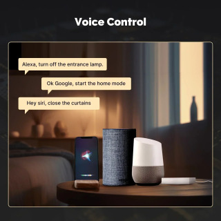 TONGOU Matter Gateway, Tuya Zigbee Hub, Siri bilan ovozli boshqaruv, HomeKit, SmartThings, Google Assistant, Smart Home