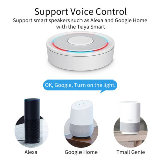 HomeKit ZigBee Gateway Hub Умный дом Беспроводной/проводной мост Tuya Smart Life работает с Apple iPhone Siri Alexa Google Home