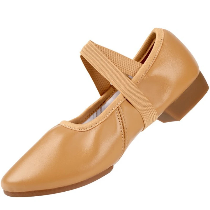 Dance Shoes for Women Two Point Flat Sole Teacher Shoes Professional Dance Shoes