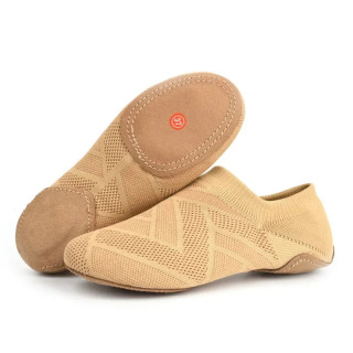 Sneakers Ballet Dance Shoes Women Soft Training Shoes Adult Teacher Cheerleading Shoe Outdoor Ballet Shoes Yoga Belly Dance